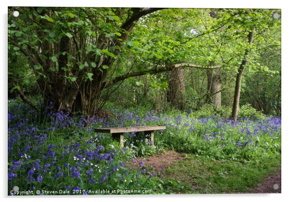 Solitude's Sanctuary: Bluebell Woods Bench Acrylic by Steven Dale