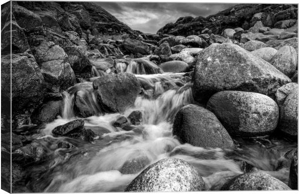 Stream Into Porth Nanven in Black and White Canvas Print by Jennifer Higgs