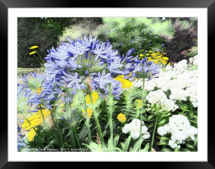 Flowers in the Garden Framed Mounted Print by Jane Metters