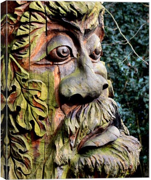 The Green Man Canvas Print by Mike Lanning