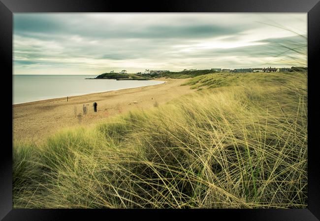 As time goes By Framed Print by Darren Lowe