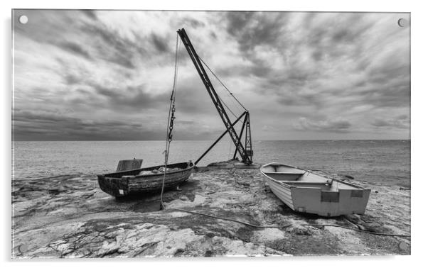 Fisherman's Crane Acrylic by Mark Godden