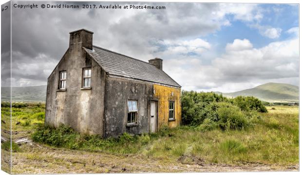 Old Abandoned farmhouse Ireland Canvas Print by David Michael Norton