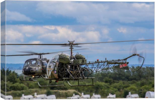 Westland Scout and Sioux Helicopters Canvas Print by Oxon Images