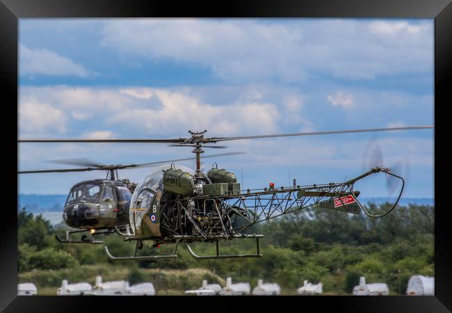 Westland Scout and Sioux Helicopters Framed Print by Oxon Images