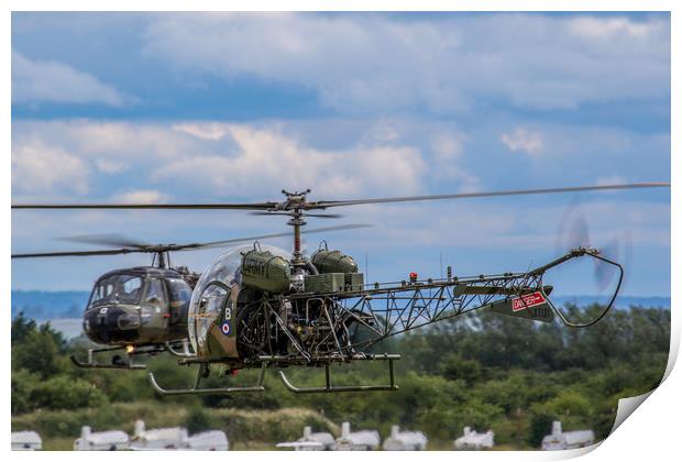 Westland Scout and Sioux Helicopters Print by Oxon Images