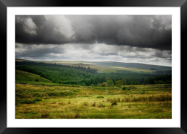 Dartmoor forest Framed Mounted Print by Dean Messenger