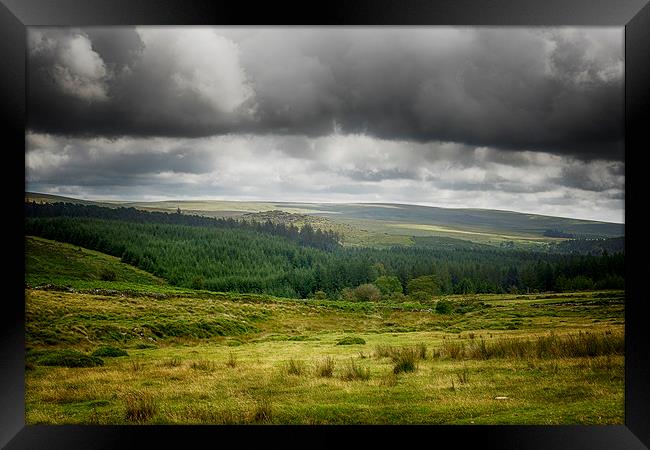 Dartmoor forest Framed Print by Dean Messenger