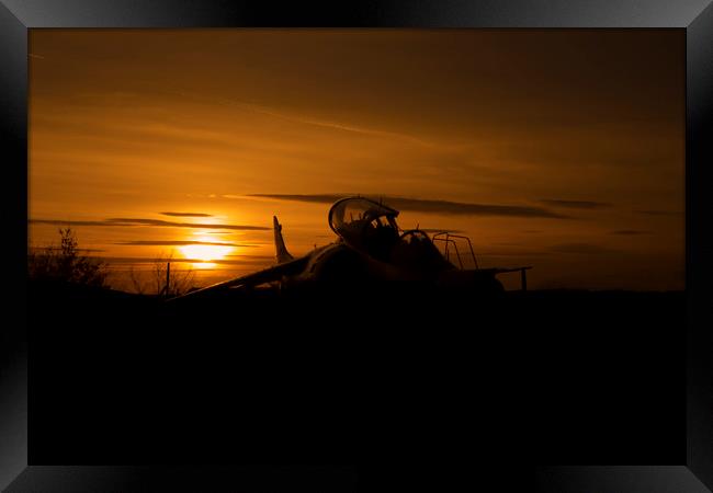 Harrier at sunset 2 Framed Print by Oxon Images