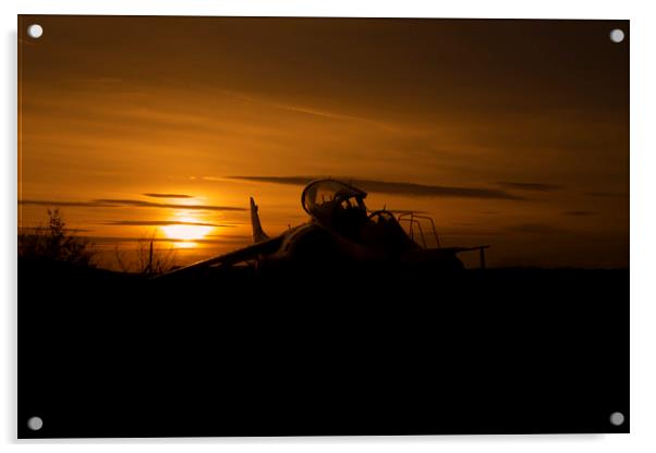Harrier at sunset 2 Acrylic by Oxon Images