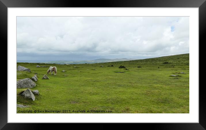 Dartmoor National Park Framed Mounted Print by Sara Messenger