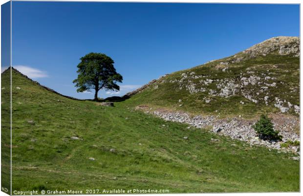 Sycamore Gap Canvas Print by Graham Moore