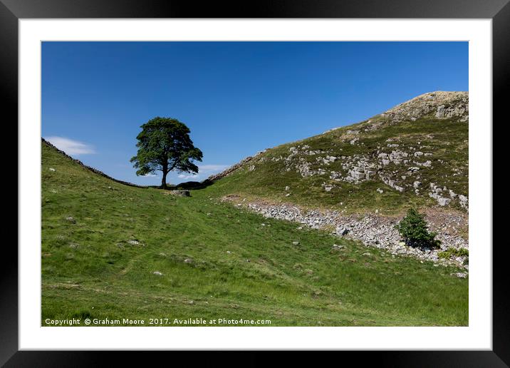 Sycamore Gap Framed Mounted Print by Graham Moore