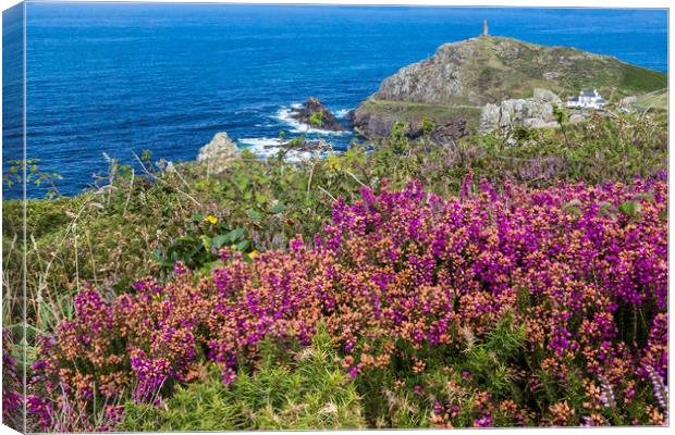 Heather at Cape Cornwall Canvas Print by Jennifer Higgs