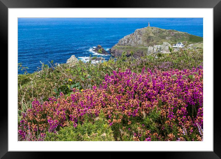 Heather at Cape Cornwall Framed Mounted Print by Jennifer Higgs
