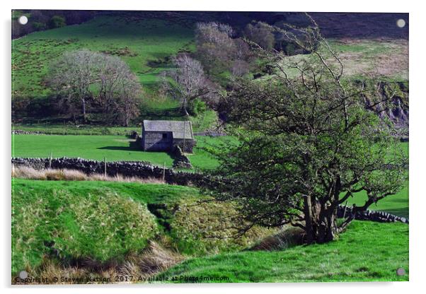 Coverdale Barn Acrylic by Steven Watson