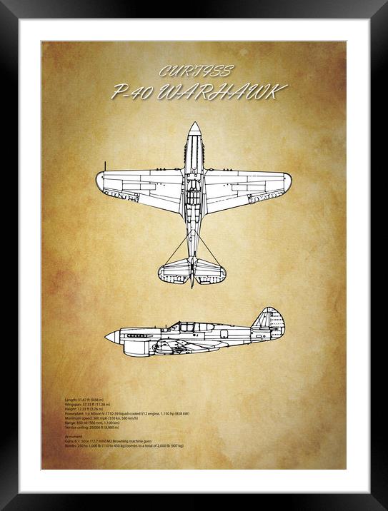 Curtiss P-40 Warhawk Framed Mounted Print by J Biggadike