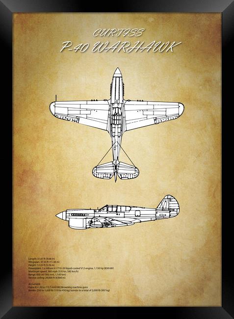 Curtiss P-40 Warhawk Framed Print by J Biggadike