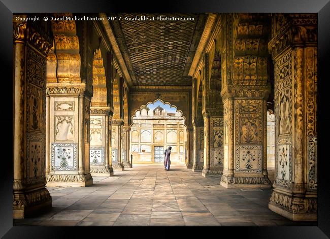 Passing through Red Fort Delhi Framed Print by David Michael Norton