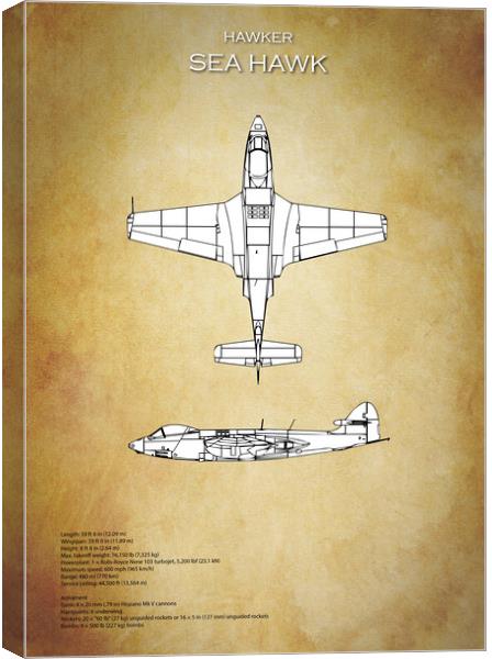 Hawker Sea Hawk Canvas Print by J Biggadike