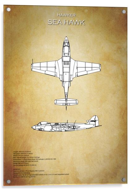 Hawker Sea Hawk Acrylic by J Biggadike