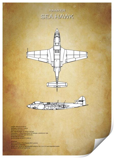 Hawker Sea Hawk Print by J Biggadike