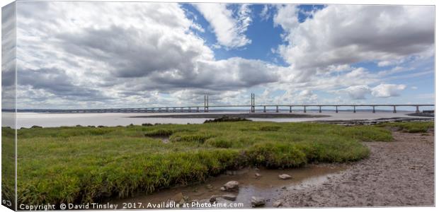 Second Severn Crossing Panorama Canvas Print by David Tinsley