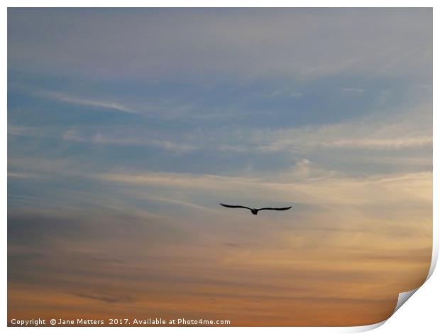 Evening Sky Print by Jane Metters
