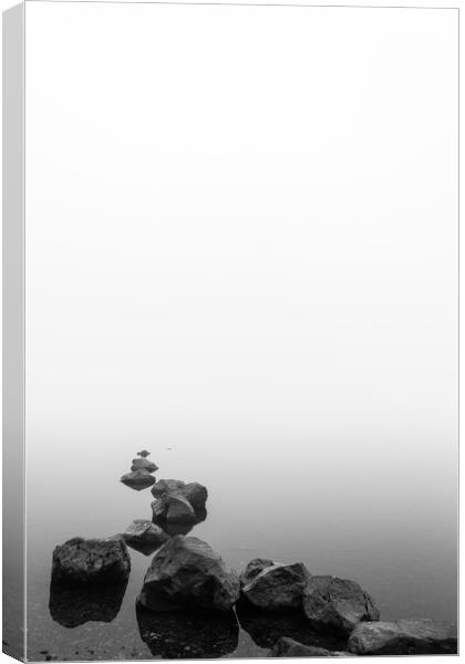 Mist on the Rocks Canvas Print by Darren Lowe