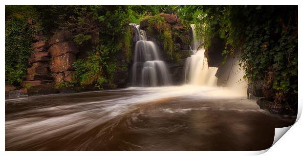Penllergare falls in Swansea Print by Leighton Collins