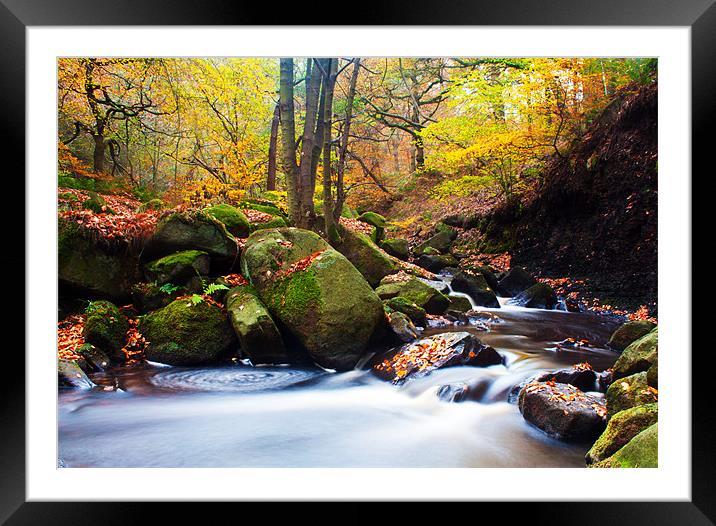 autumn arrives Framed Mounted Print by stephen mc nally