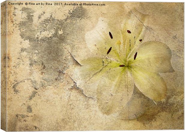Vintage 3 Canvas Print by Fine art by Rina