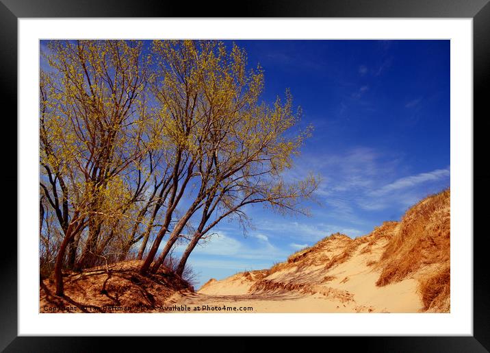 Sunday at The Dunes Framed Mounted Print by Ian Pettman
