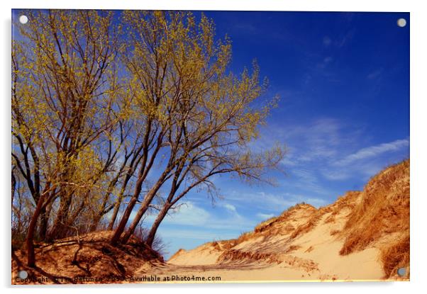 Sunday at The Dunes Acrylic by Ian Pettman