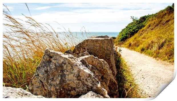 Coastal Path Print by  