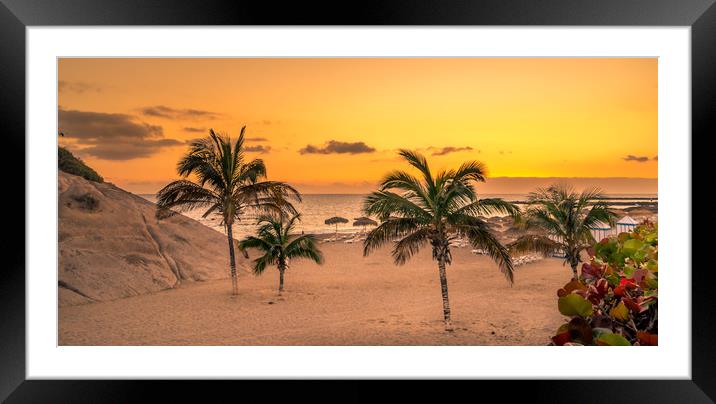 Palm Trees in the Sun Framed Mounted Print by Naylor's Photography