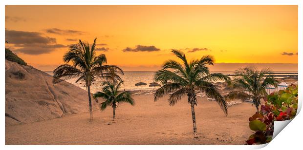 Palm Trees in the Sun Print by Naylor's Photography