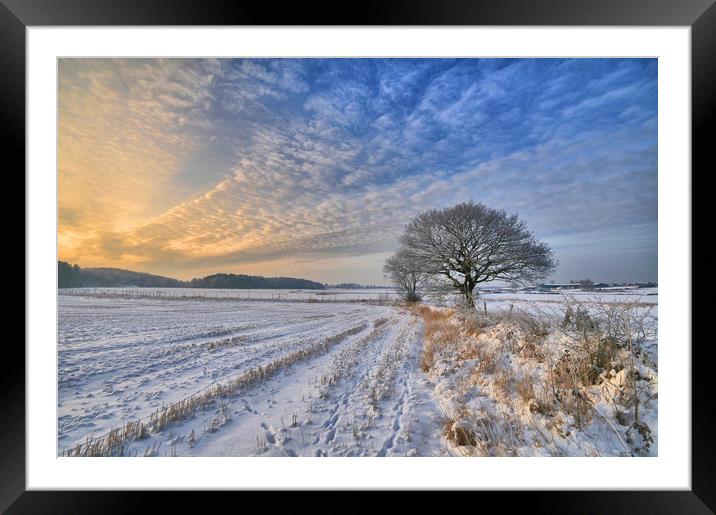 A winters scene Framed Mounted Print by Robert Fielding