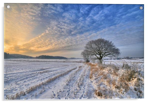 A winters scene Acrylic by Robert Fielding