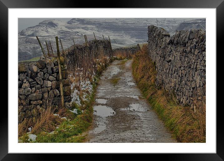 A dales way Framed Mounted Print by Robert Fielding