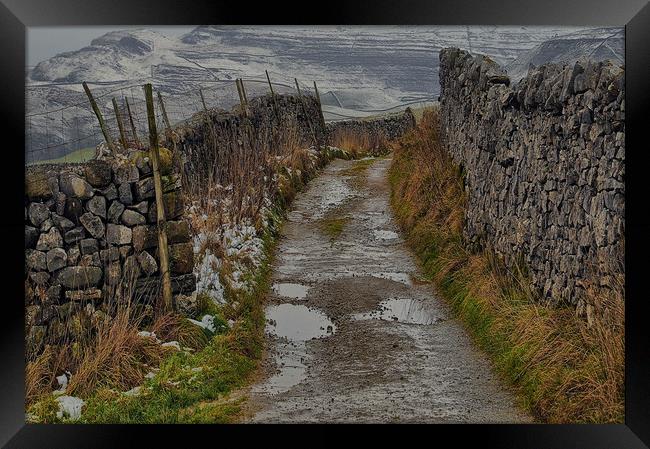 A dales way Framed Print by Robert Fielding