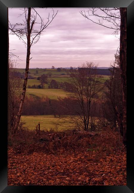 At Norwood Edge Framed Print by Steven Watson