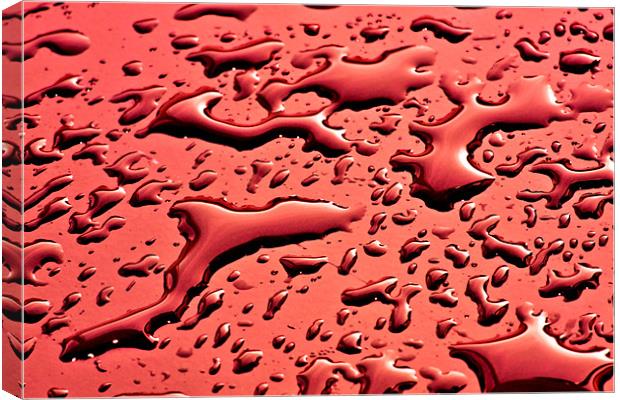Red water Canvas Print by Mike Gorton