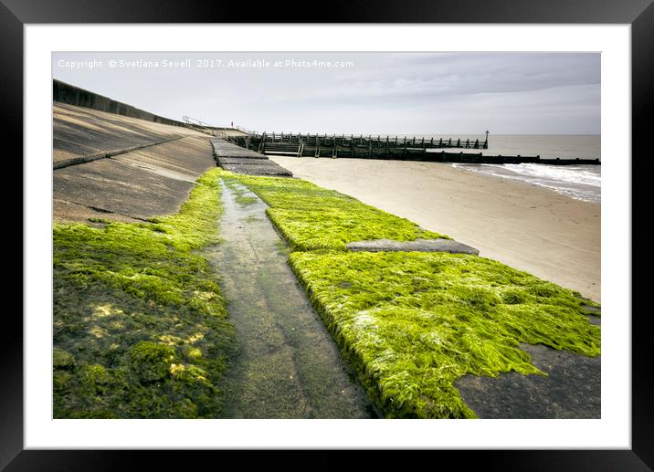 Mossy Pier Framed Mounted Print by Svetlana Sewell