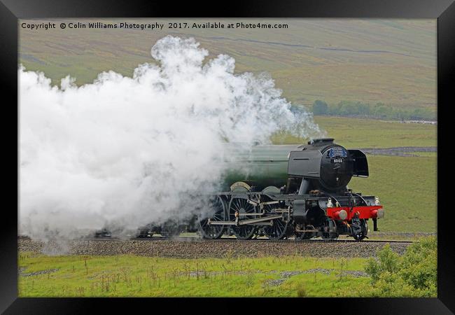Flying Scotsman At The Ribblehead Viaduct 3 Framed Print by Colin Williams Photography