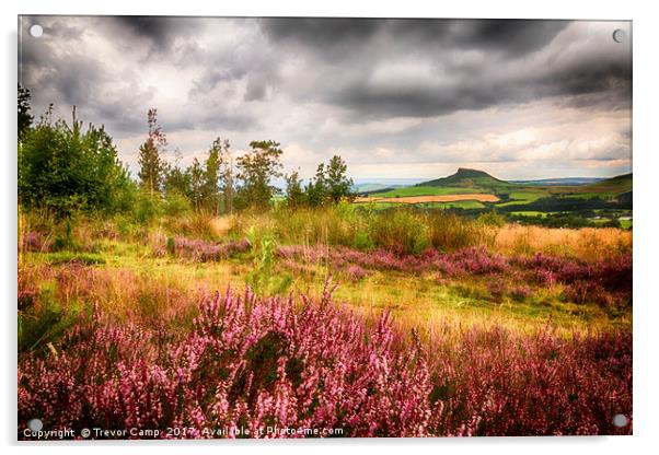 The Enchanting Roseberry Topping Acrylic by Trevor Camp