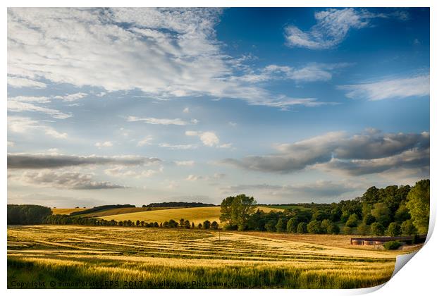 Fields of golden wheat English landscape Print by Simon Bratt LRPS