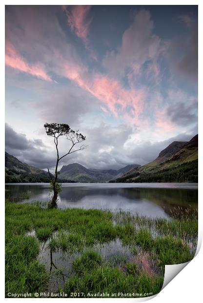 Buttermere Lone Tree Sunrise Print by Phil Buckle