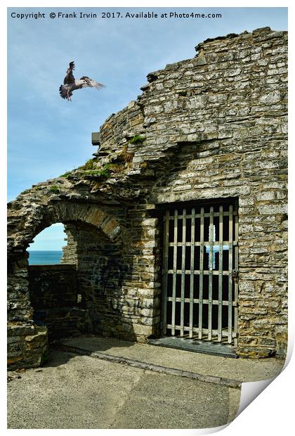 Aberystwyth Castle Print by Frank Irwin