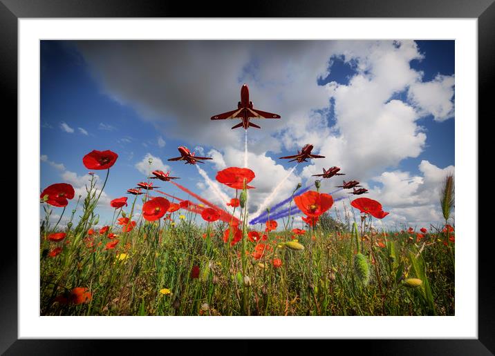 Red Arrows Poppy Fly Past Framed Mounted Print by J Biggadike